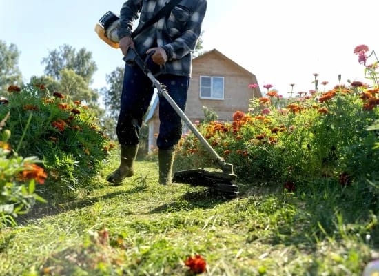 Professionnel débroussaillant un terrain à la débroussailleuse